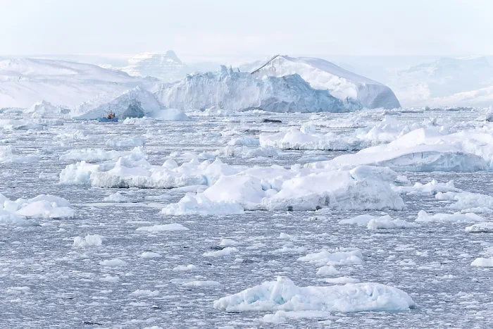 Gerahmter Druck : Packeis und große Eisberge in Disko Bay, Ilulissat, Grönland
