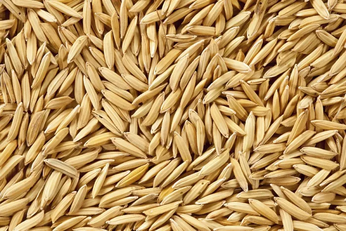 Gerahmter Druck : Paddy Gerahmter Druck : Paddy