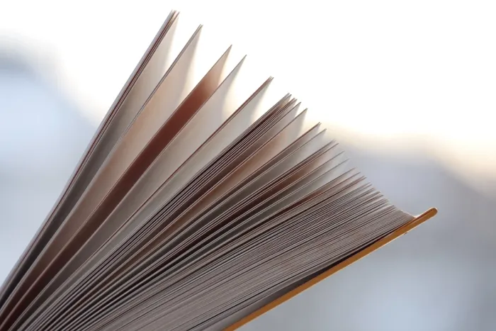Gerahmter Druck : Seiten eines Buches Gerahmter Druck : Seiten eines Buches