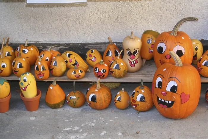 Gerahmter Druck : Bemalte Kürbisse Cucurbita Gerahmter Druck : Bemalte Kürbisse Cucurbita
