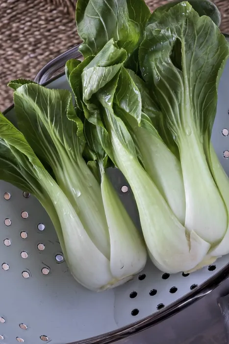 Gerahmter Druck : Pak Choi Gerahmter Druck : Pak Choi