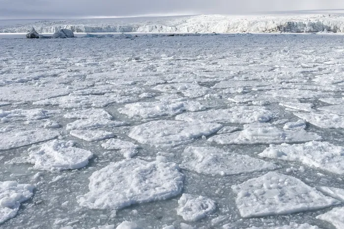 Gerahmter Druck : Palanderbukta Bucht, Packeis-Muster. Gerahmter Druck : Palanderbukta Bucht, Packeis-Muster.