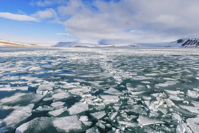 Gerahmter Druck : Palanderbukta-Bucht, Packeis-Muster. Gerahmter Druck : Palanderbukta-Bucht, Packeis-Muster.
