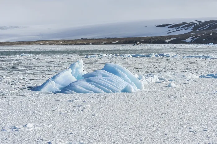 Gerahmter Druck : Palanderbukta, Eisdecke und Packeis. Gerahmter Druck : Palanderbukta, Eisdecke und Packeis.
