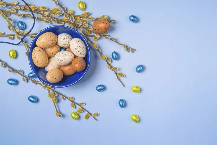 Gerahmter Druck : Palmenkatze mit Osterdekoration Gerahmter Druck : Palmenkatze mit Osterdekoration