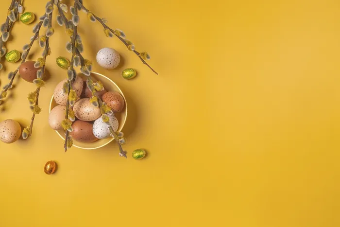 Gerahmter Druck : Palmenkatze mit Osterdekoration Gerahmter Druck : Palmenkatze mit Osterdekoration