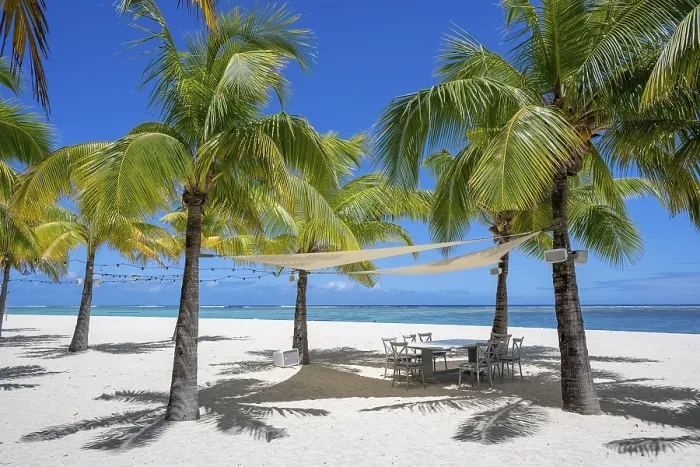 Gerahmter Druck : Palmenbaum, Wolke, Himmel, Meer, Sandstrand. Gerahmter Druck : Palmenbaum, Wolke, Himmel, Meer, Sandstrand.