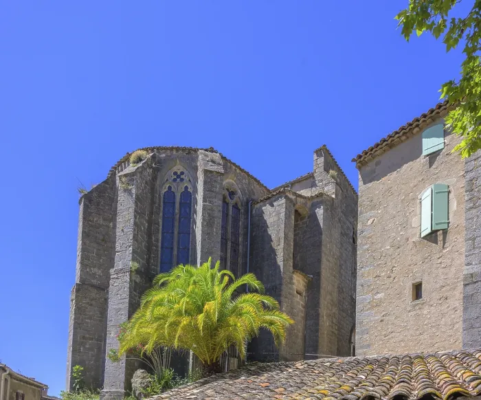 Gerahmter Druck : Palmenbaum vor der Eglise de l'Assomption in Moureze. Gerahmter Druck : Palmenbaum vor der Eglise de l'Assomption in Moureze.
