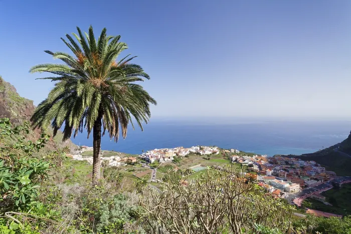 Gerahmter Druck : Palmenbaum, Aussicht auf Agulo, La Gomera Gerahmter Druck : Palmenbaum, Aussicht auf Agulo, La Gomera