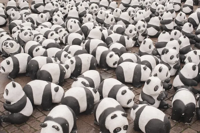 Gerahmter Druck : Panda Bär Gerahmter Druck : Panda Bär