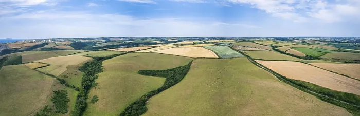 Gerahmter Druck : Panorama über Felder und Ackerflächen von einem Drohnen. Gerahmter Druck : Panorama über Felder und Ackerflächen von einem Drohnen.