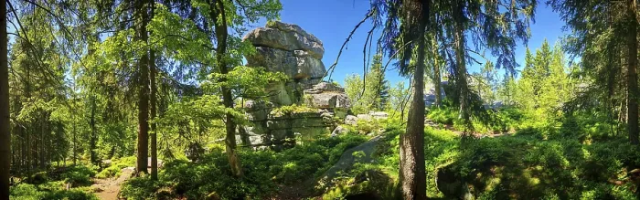 Gerahmter Druck : Panorama über Waldlandschaft