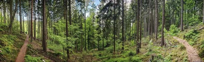 Gerahmter Druck : Panorama des Frankenwaldsteigs im Grünen Gerahmter Druck : Panorama des Frankenwaldsteigs im Grünen