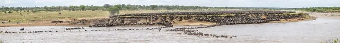 Gerahmter Druck : Panorama, Die Große Migration Gerahmter Druck : Panorama, Die Große Migration
