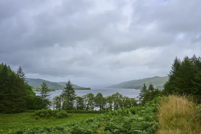 Gerahmter Druck : Panoramablick auf einen See mit Bäumen. Gerahmter Druck : Panoramablick auf einen See mit Bäumen.