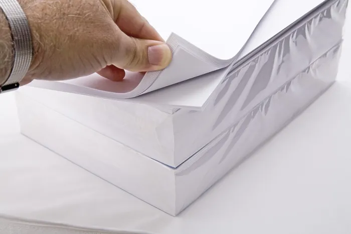 Gerahmter Druck : Paper Gerahmter Druck : Paper