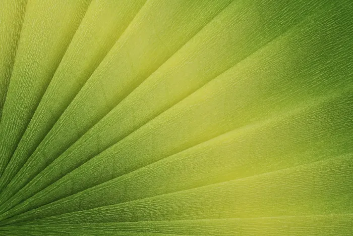 Gerahmter Druck : Papier, in einer Falte gebaut. Gerahmter Druck : Papier, in einer Falte gebaut.