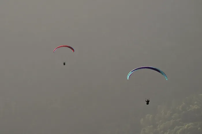 Gerahmter Druck : Zwei Paraglider fliegen über den Wald. Gerahmter Druck : Zwei Paraglider fliegen über den Wald.