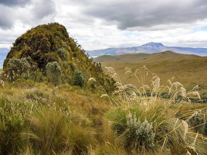 Gerahmter Druck : Paramo-Landschaft am Pasochoa. Gerahmter Druck : Paramo-Landschaft am Pasochoa.