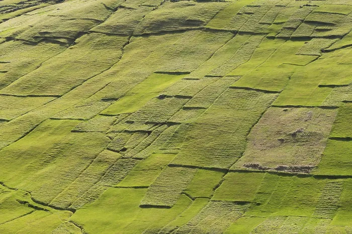 Gerahmter Druck : Parzellen Land, Äcker, Mosaikfelder. Gerahmter Druck : Parzellen Land, Äcker, Mosaikfelder.