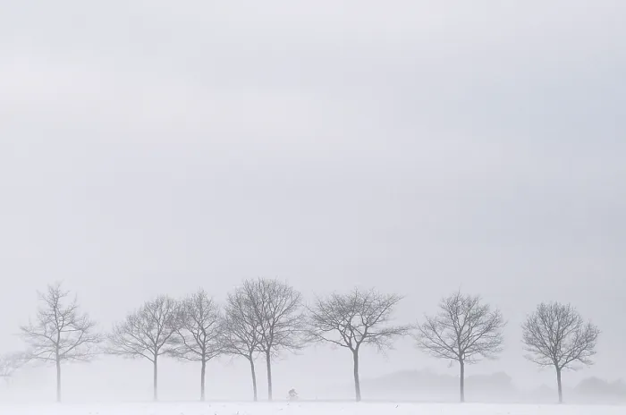Gerahmter Druck : Parkway im Winter Gerahmter Druck : Parkway im Winter