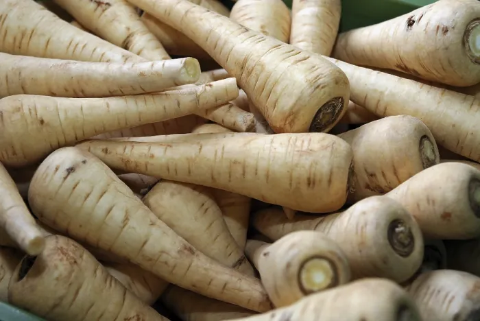 Gerahmter Druck : Parsnips Gerahmter Druck : Parsnips