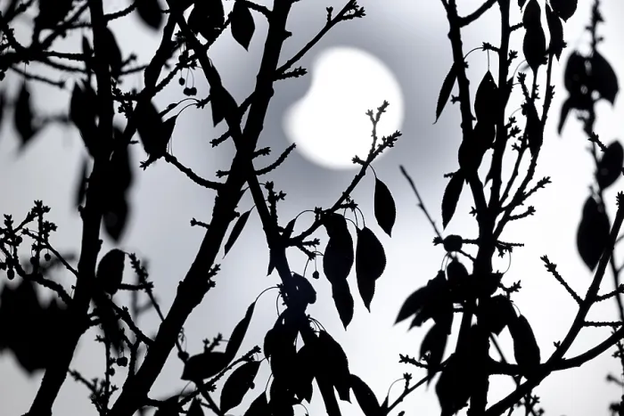Gerahmter Druck : Teilweiser Sonnenfinsternis am 25. 10. Gerahmter Druck : Teilweiser Sonnenfinsternis am 25. 10.