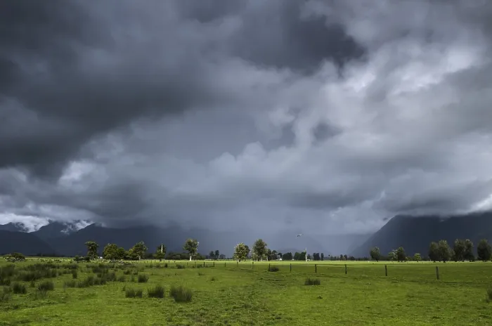 Gerahmter Druck : Weiden mit Sturmwolken und Regen. Gerahmter Druck : Weiden mit Sturmwolken und Regen.