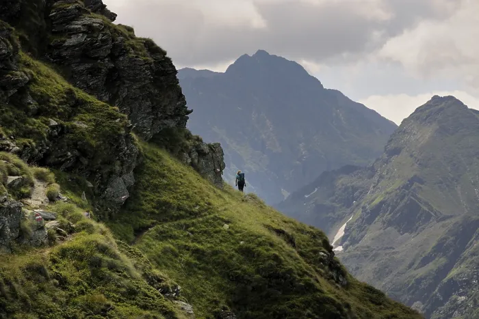 Gerahmter Druck : Weg unter dem Mt. Seerieszinken Gerahmter Druck : Weg unter dem Mt. Seerieszinken