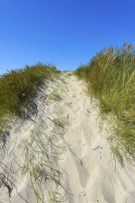 Gerahmter Druck : Weg durch Dünen zum Strand. Gerahmter Druck : Weg durch Dünen zum Strand.