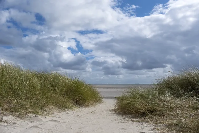 Gerahmter Druck : Weg durch Dünen zum Strand. Gerahmter Druck : Weg durch Dünen zum Strand.