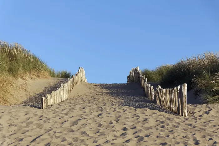Gerahmter Druck : Weg durch Dünen, Strandzugang. Gerahmter Druck : Weg durch Dünen, Strandzugang.