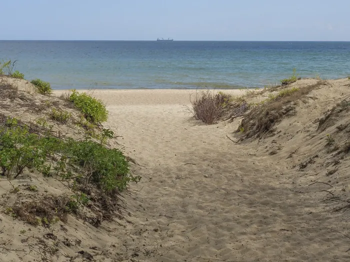 Gerahmter Druck : Weg durch die Dünen zum Meer. Gerahmter Druck : Weg durch die Dünen zum Meer.