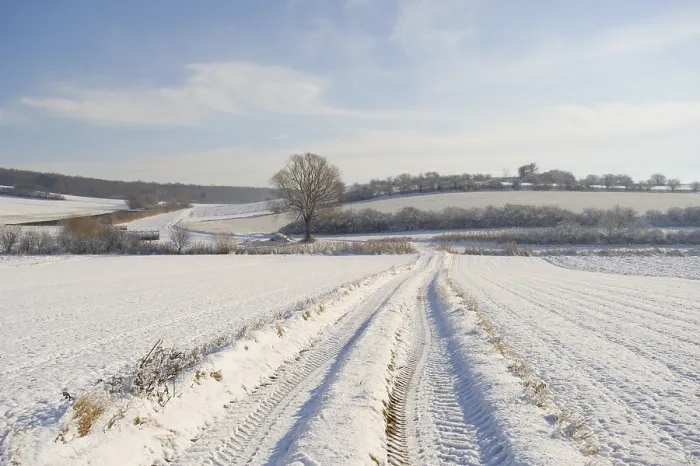Gerahmter Druck : Weg durch ein Feld mit Traktorschlägen im Winter. Gerahmter Druck : Weg durch ein Feld mit Traktorschlägen im Winter.