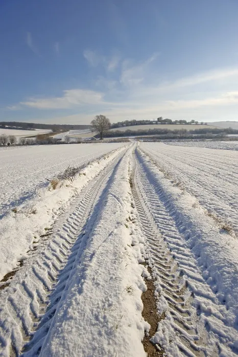 Gerahmter Druck : Weg durch ein Feld mit Spuren eines Traktors im Winter. Gerahmter Druck : Weg durch ein Feld mit Spuren eines Traktors im Winter.