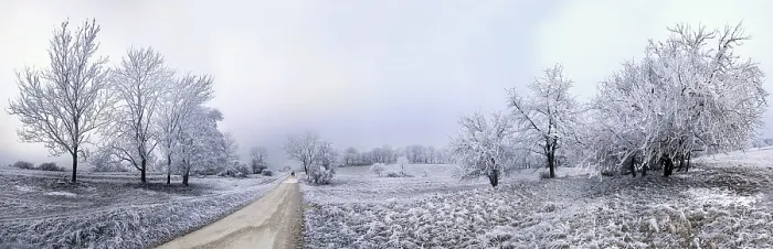 Gerahmter Druck : Pfad zwischen eisbedeckten Bäumen. Gerahmter Druck : Pfad zwischen eisbedeckten Bäumen.