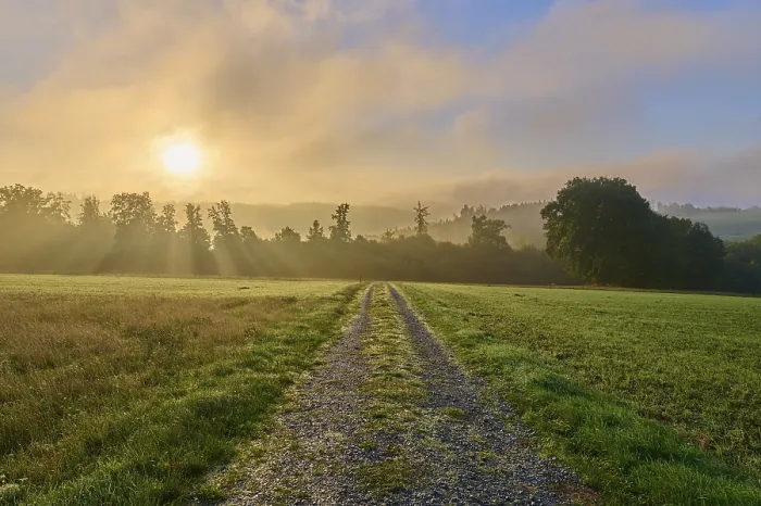 Gerahmter Druck : Weg, Landschaft, Getreidefeld, Wald. Gerahmter Druck : Weg, Landschaft, Getreidefeld, Wald.