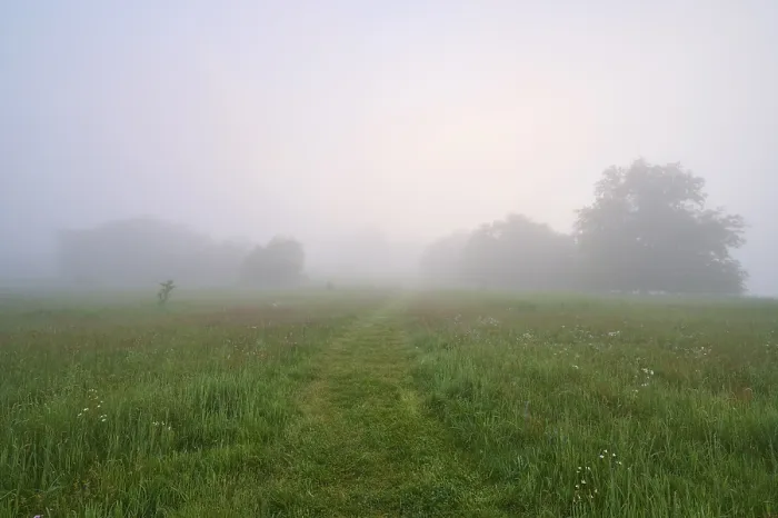 Gerahmter Druck : Weg, Wiese, Bäume, Nebel, Wolken