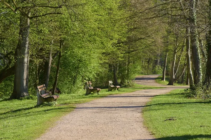 Gerahmter Druck : Weg, Park, Bank, Wald, Quelle Gerahmter Druck : Weg, Park, Bank, Wald, Quelle