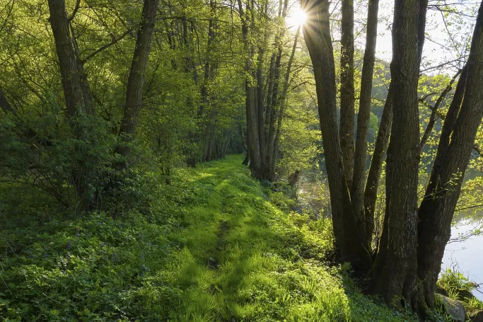 Gerahmter Druck : Weg am Ufer eines Flusses im Frühling mit Sonne.