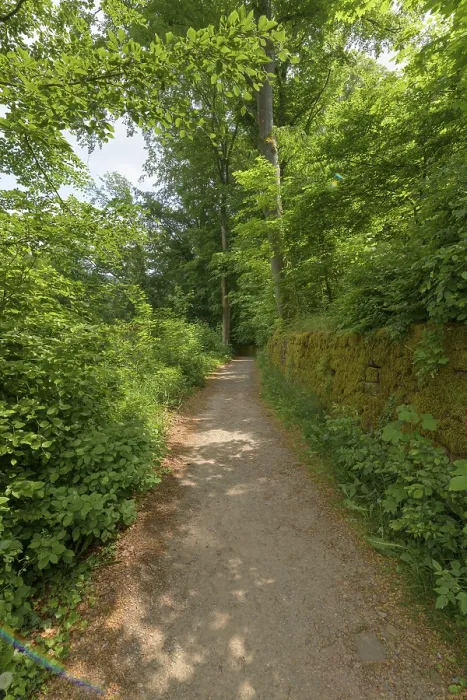 Gerahmter Druck : Wanderweg im Frühling, Neckarsteinach Gerahmter Druck : Wanderweg im Frühling, Neckarsteinach