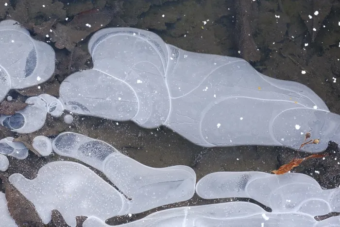 Gerahmter Druck : Eisblumen auf gefrorenem Wasser, Nordrhein-Westfalen Gerahmter Druck : Eisblumen auf gefrorenem Wasser, Nordrhein-Westfalen