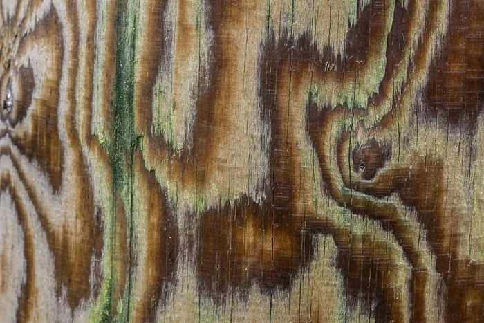 Gerahmter Druck : Muster, Holzgrain in Emsland. Gerahmter Druck : Muster, Holzgrain in Emsland.
