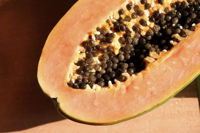Gerahmter Druck : Pawpaw Gerahmter Druck : Pawpaw