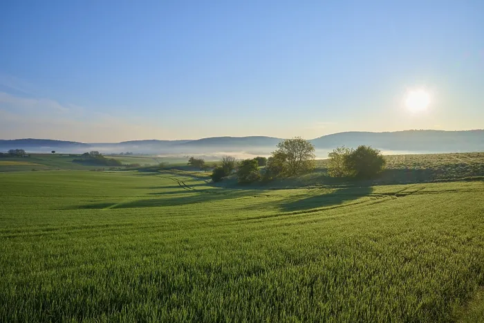 Gerahmter Druck : Ein friedliches Landschaft mit grünen Feldern. Gerahmter Druck : Ein friedliches Landschaft mit grünen Feldern.