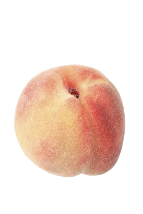Gerahmter Druck : Peach Gerahmter Druck : Peach