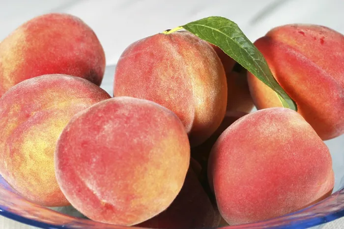 Gerahmter Druck : Peach Sort Rot Himmel Gerahmter Druck : Peach Sort Rot Himmel