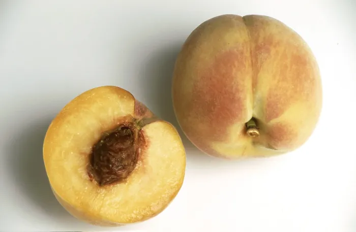 Gerahmter Druck : Peaches Gerahmter Druck : Peaches