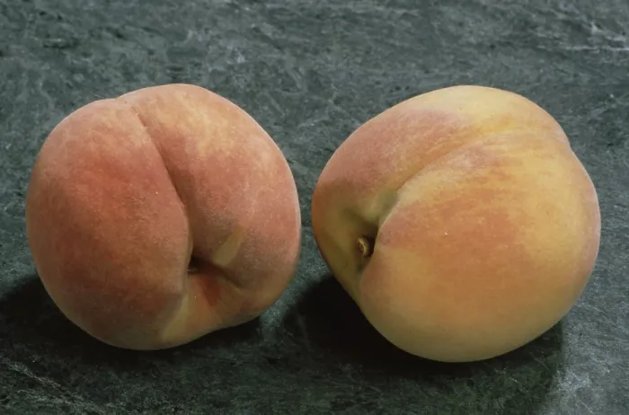 Gerahmter Druck : Peaches Gerahmter Druck : Peaches