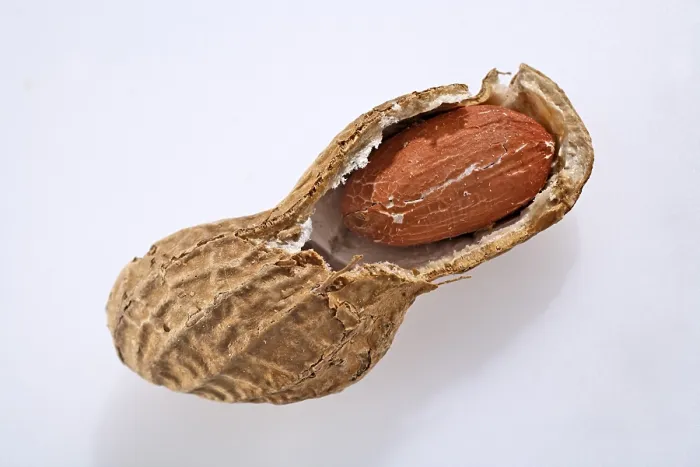 Gerahmter Druck : Peanut Gerahmter Druck : Peanut